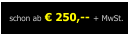 schon ab � 250,-- + MwSt.